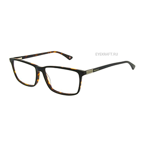 HACKETT 1202 582