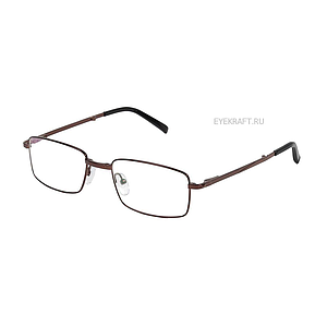 Eyekraft 2742-18-64 с футляром